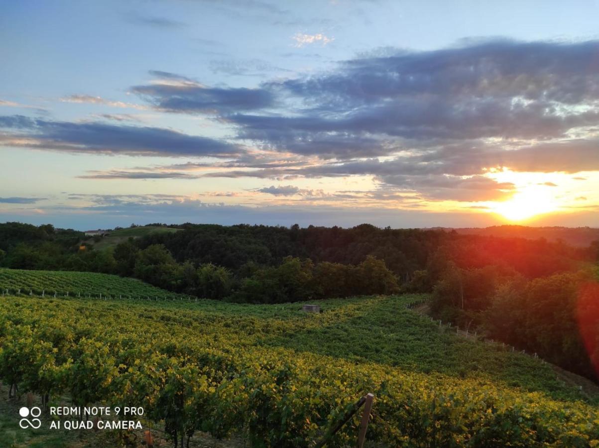 Oasi Del Monferrato - Appartamento Rosso Mombercelli Екстериор снимка